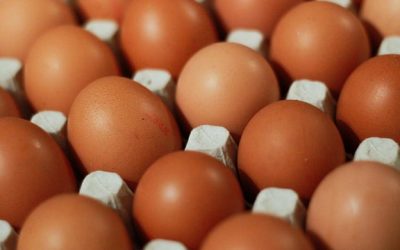 Eating Eggs Linked to Stress Relief